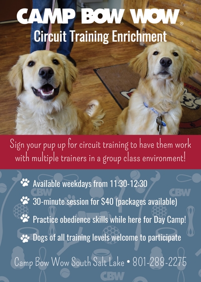 puppy training services